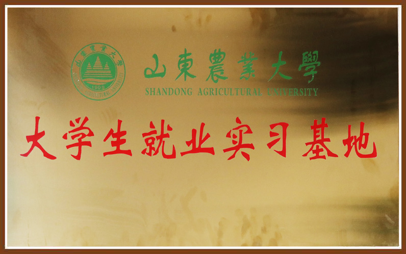 南宫电子游戏-不凡成就非凡,相信品牌的力量
