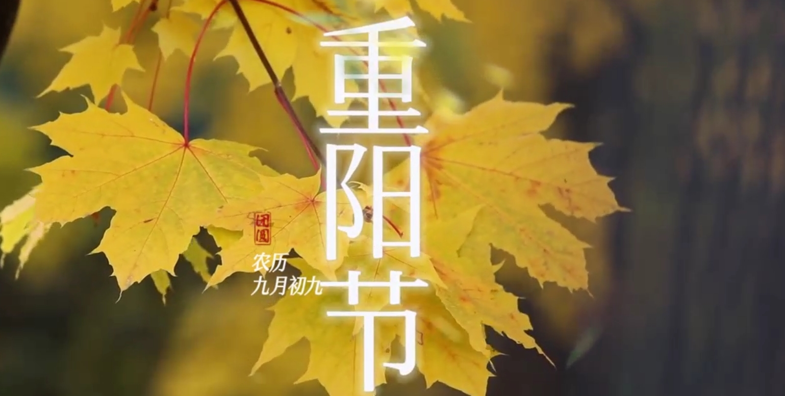 南宫电子游戏-不凡成就非凡,相信品牌的力量