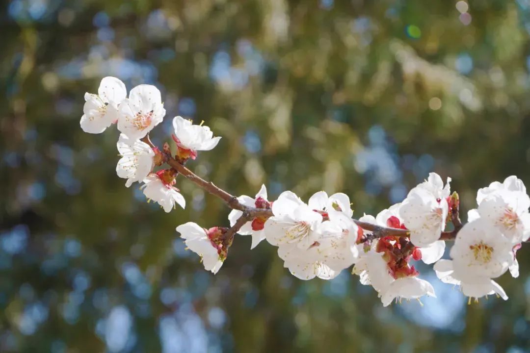 南宫电子游戏-不凡成就非凡,相信品牌的力量