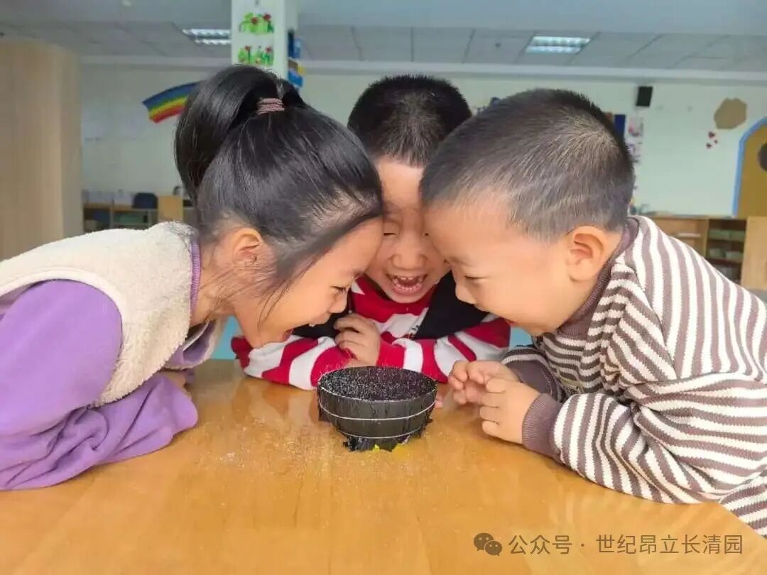 62f1885e91a2e96cfb301fbb9302ed1f 南宫电子游戏-不凡成就非凡,相信品牌的力量
